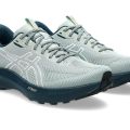 Кроссовки Asics GT-1000 14 TR 1011C131-300  12.5US