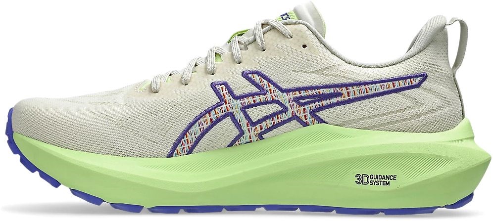 Кроссовки Asics GT-2000 13 TR 1011C042-300 10.5US