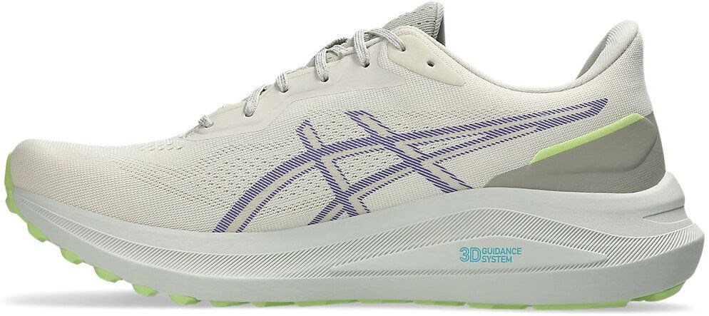 Кроссовки Asics GT-1000 13 TR 1011C043-300 9US