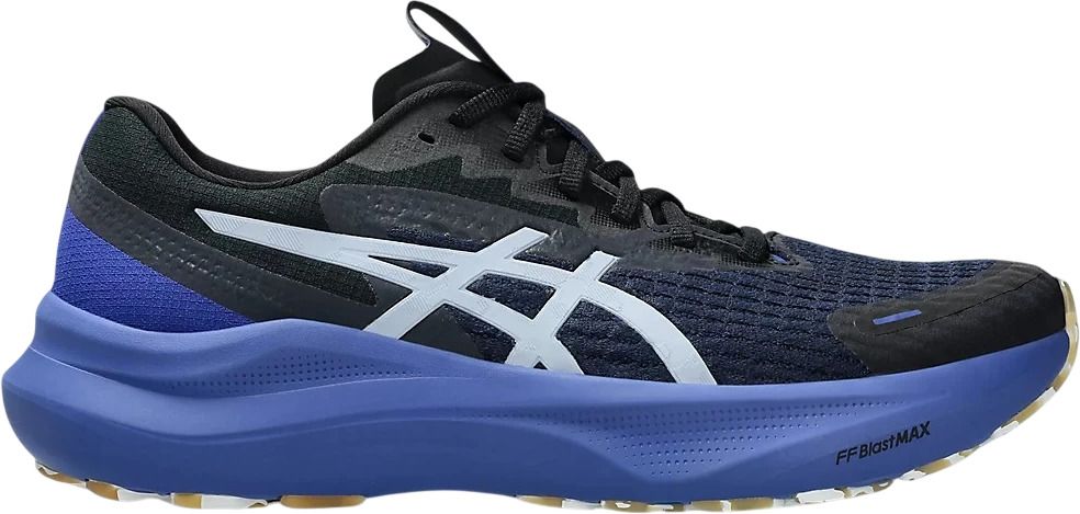 Кроссовки Asics GT-2000 14 LITE-SHOW 1011C128-400