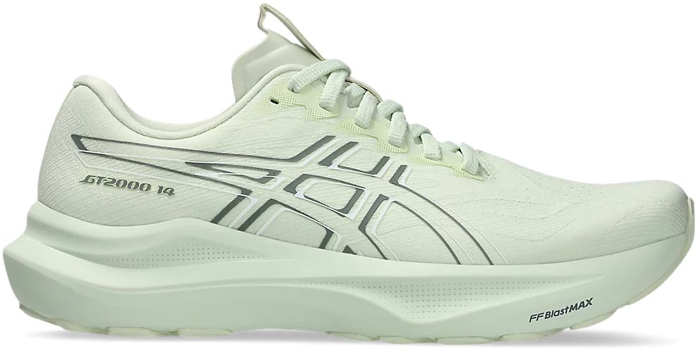 Кроссовки Asics GT-2000 14 1012B843-300