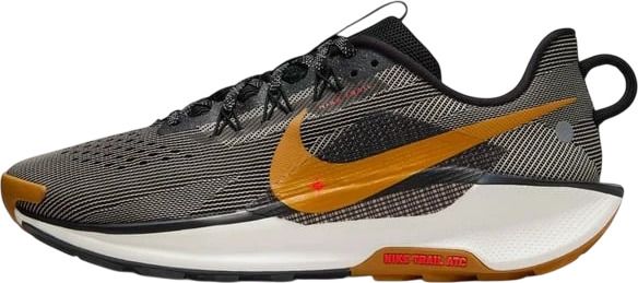 Кроссовки Nike REACTX PEGASUS TRAIL 5 DV3864-009