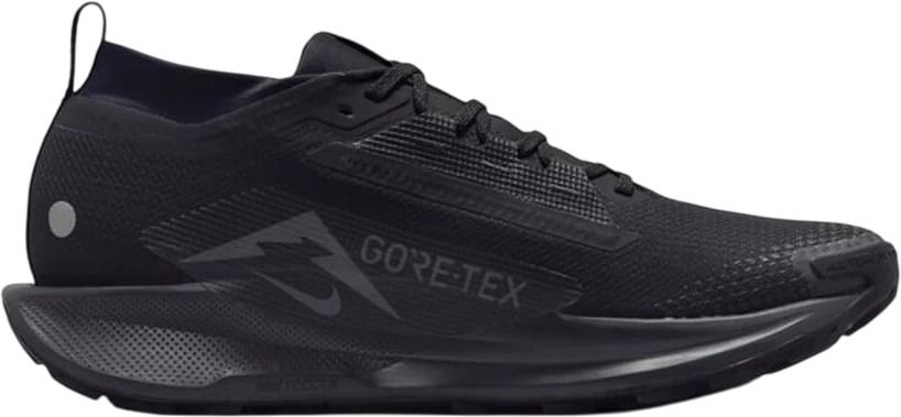 Кроссовки Nike REACTX PEGASUS TRAIL 5 GTX FQ0908-002