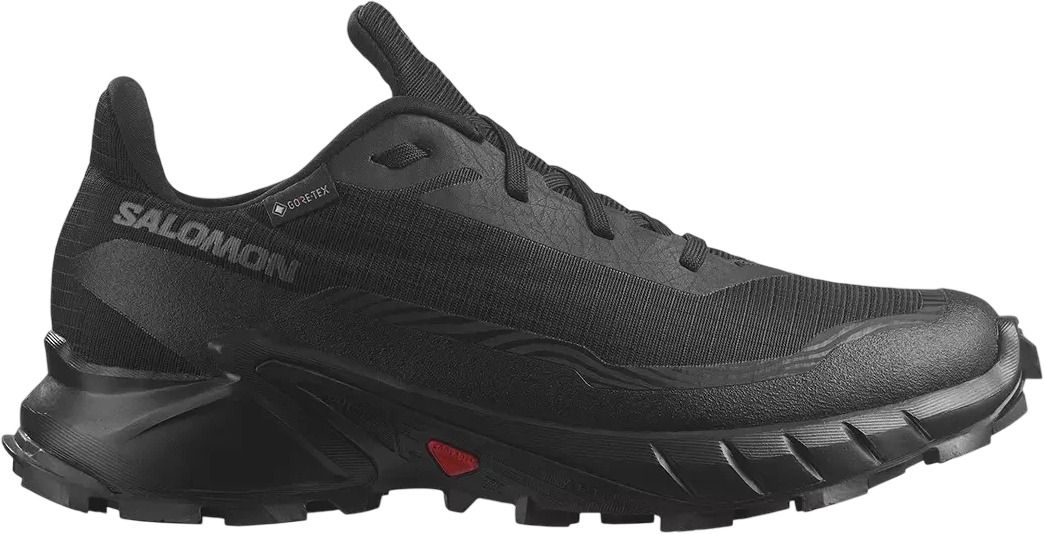 Ботинки Salomon ALPHACROSS 5 GTX W L47310900