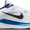 Кроссовки Nike AIR WINFLO 10 DV4022-400 8.5US