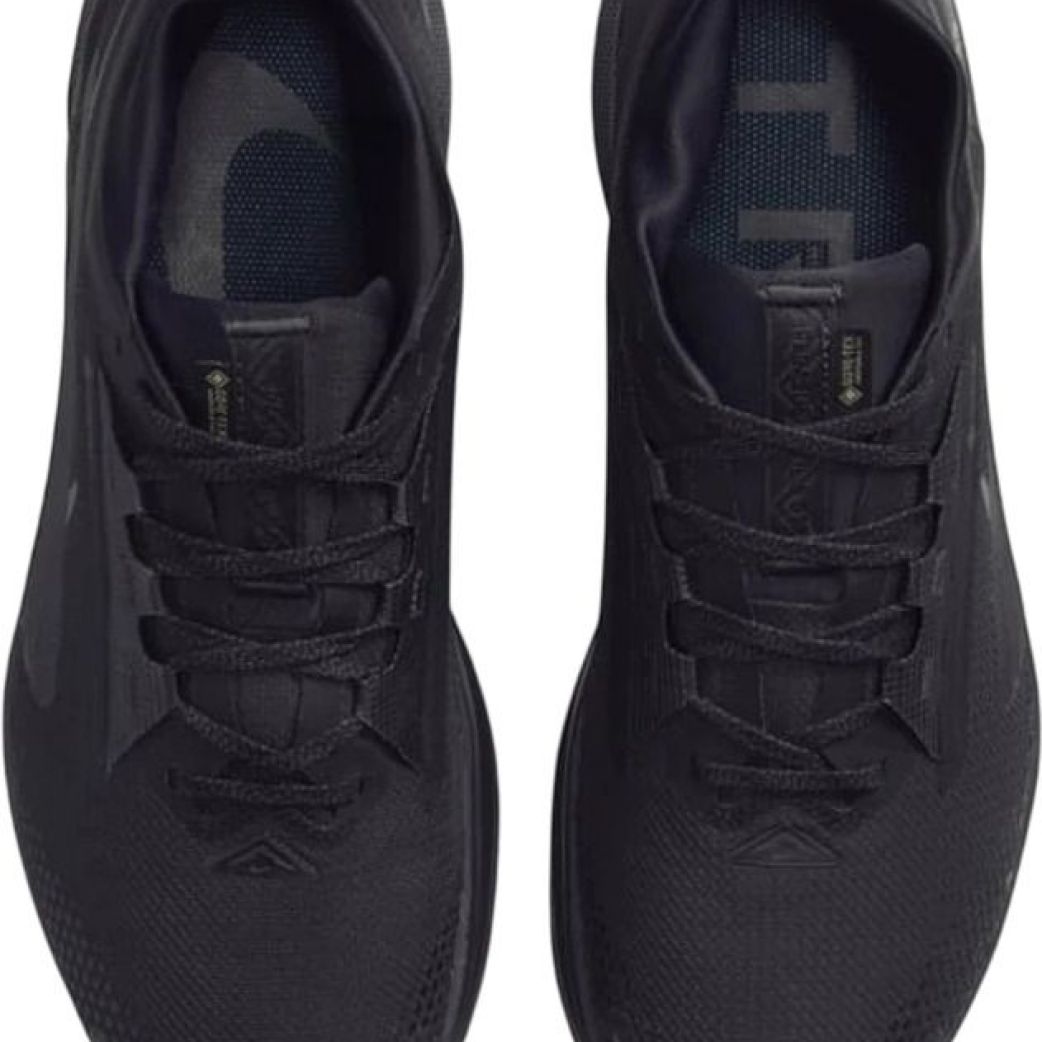 Кроссовки Nike REACTX PEGASUS TRAIL 5 GTX FQ0908-002