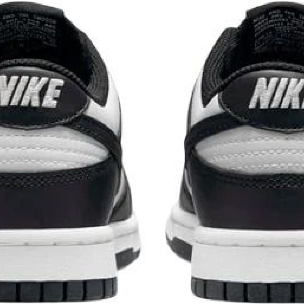 Кроссовки Nike Dunk Low Next Nature DD1873-102