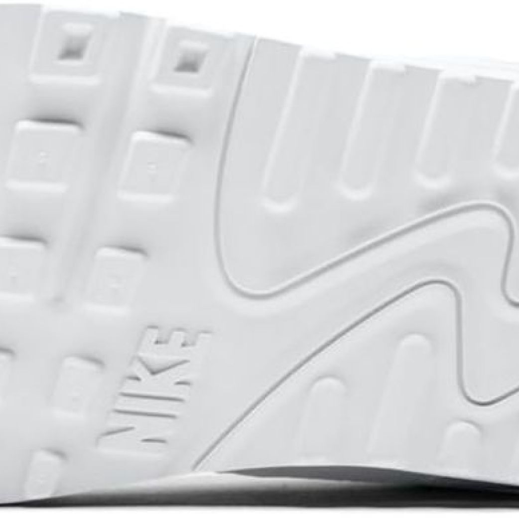 Кроссовки Nike AIR MAX 90 365 CN8490-100