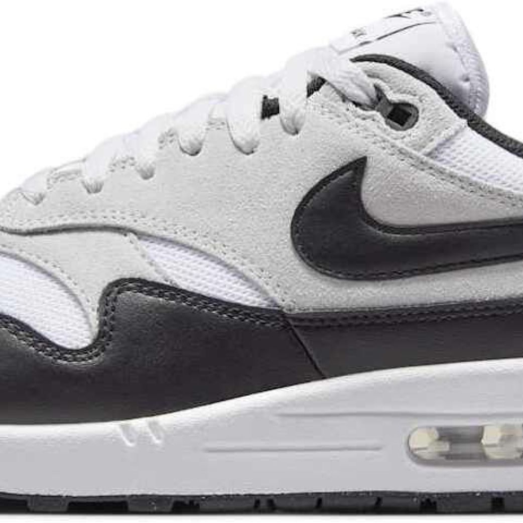 Кроссовки Nike Air Max 1 Essential FZ5808-102