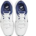 Кроссовки Nike DEFYALLDAY DJ1196-100