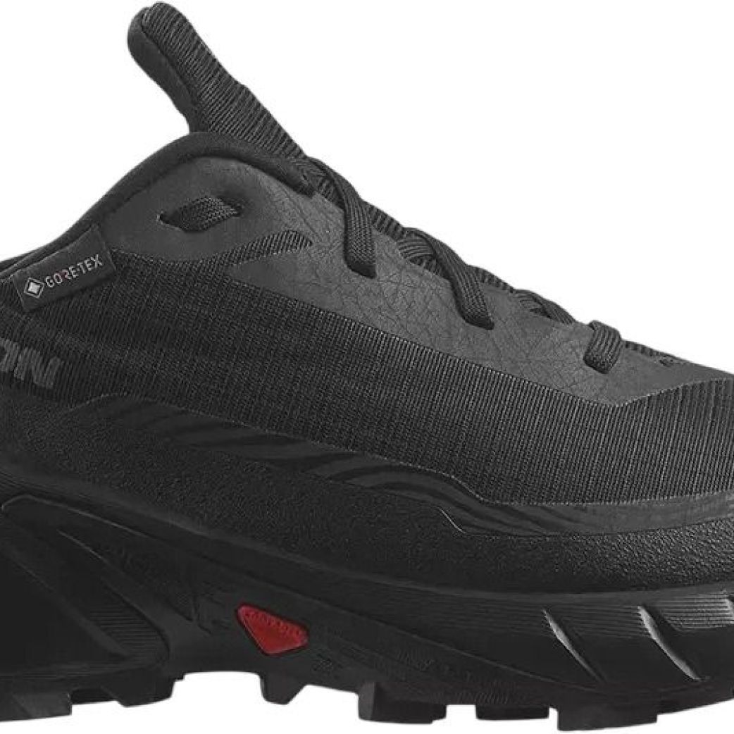 Ботинки Salomon ALPHACROSS 5 GTX W L47310900