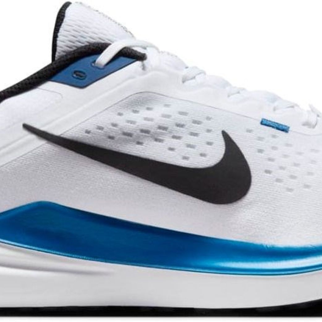 Кроссовки Nike AIR WINFLO 10 DV4022-400 8.5US