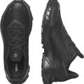 Ботинки Salomon ALPHACROSS 5 GTX W L47310900
