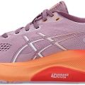 Кроссовки Asics GEL-KAYANO 31 1012B670-700
