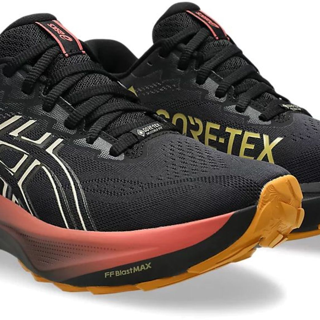 Кроссовки Asics GT-2000 14 GTX 1012B844-001