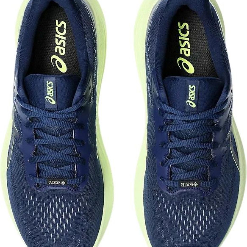 Кроссовки Asics GT-2000 12 GTX 1011B687-400