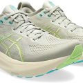 Кроссовки Asics GEL-KAYANO 31 1011B867-023