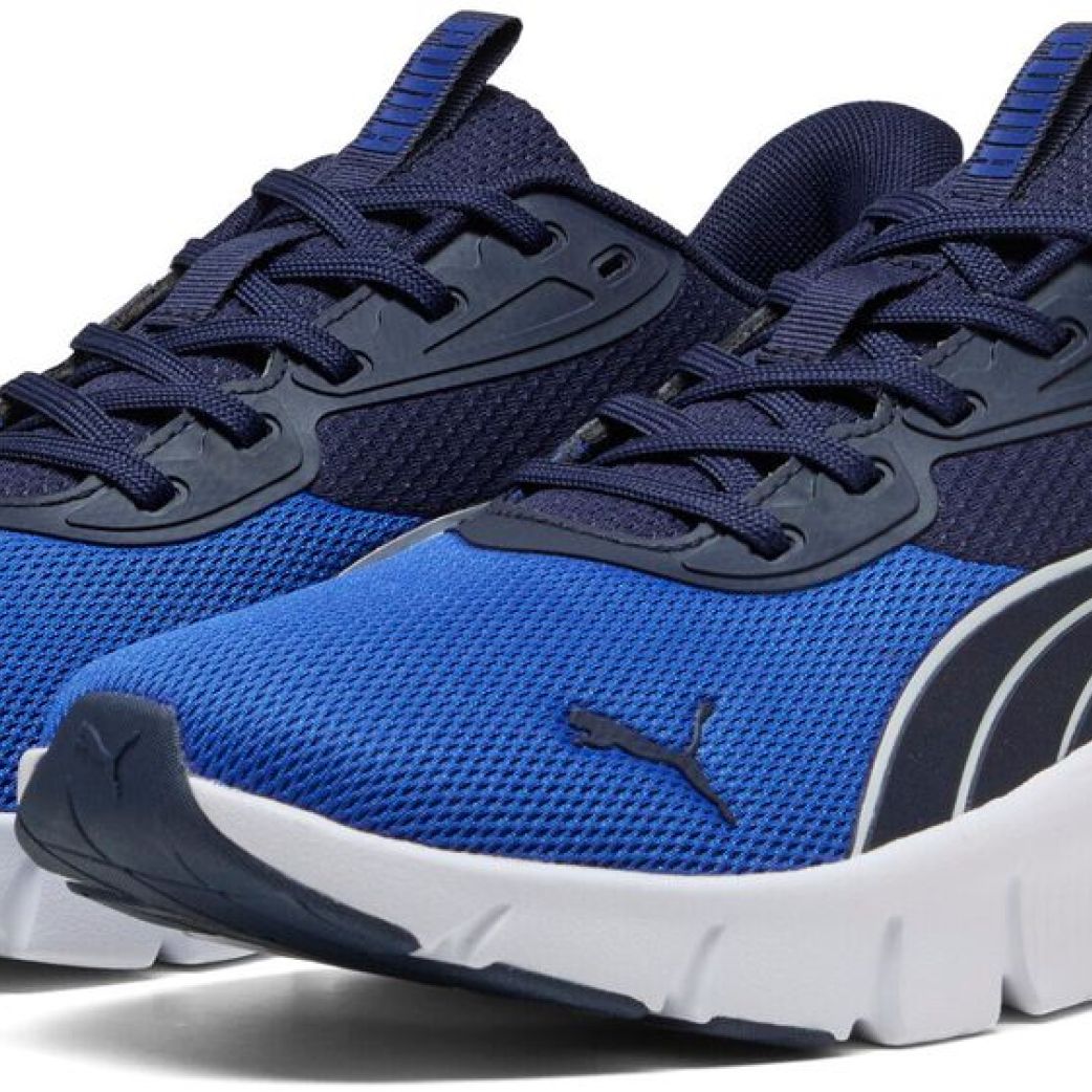 Кроссовки Puma FlexFocus Lite Modern 31009313