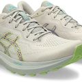 Кроссовки Asics GT-1000 13 TR 1011C043-300  12US