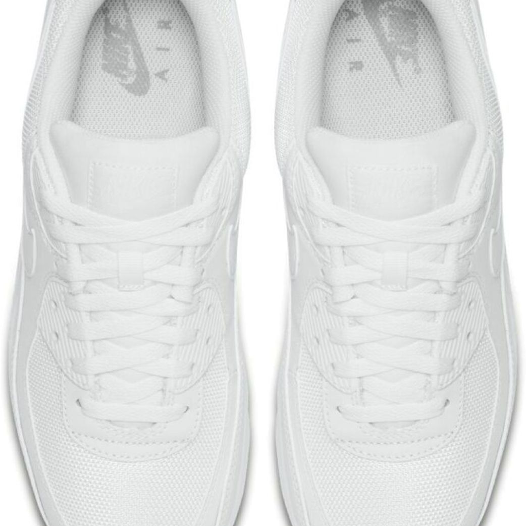 Кроссовки Nike AIR MAX 90 365 CN8490-100