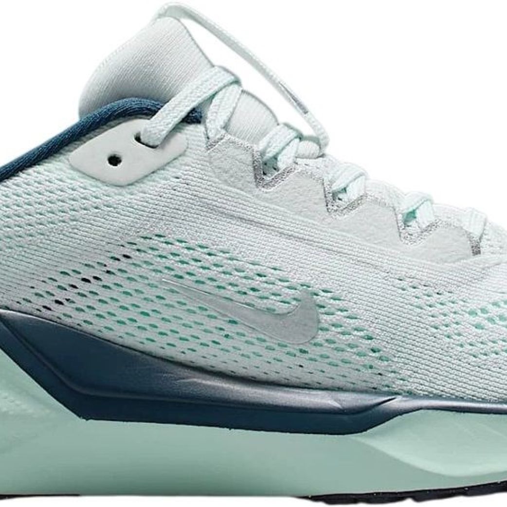 Кроссовки Nike Pegasus 41 FN5041-603 4Y