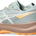 Кроссовки Asics FUJI LITE 6 1012B865-700  9.5US