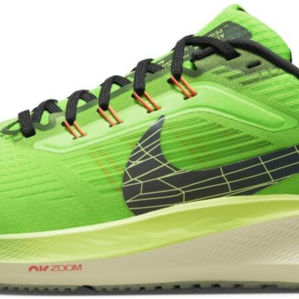 Кроссовки Nike AIR ZOOM PEGASUS 39 DZ4776-343