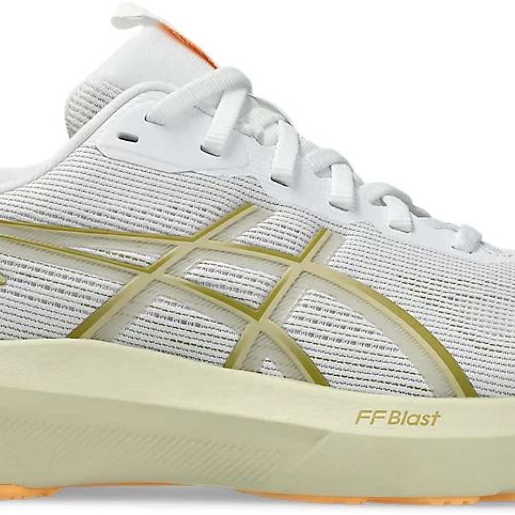 Кроссовки Asics GT-1000 14 1011C077-100