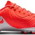 Бутсы Nike LEGEND 10 ACADEMY FG/MG DV4337-800