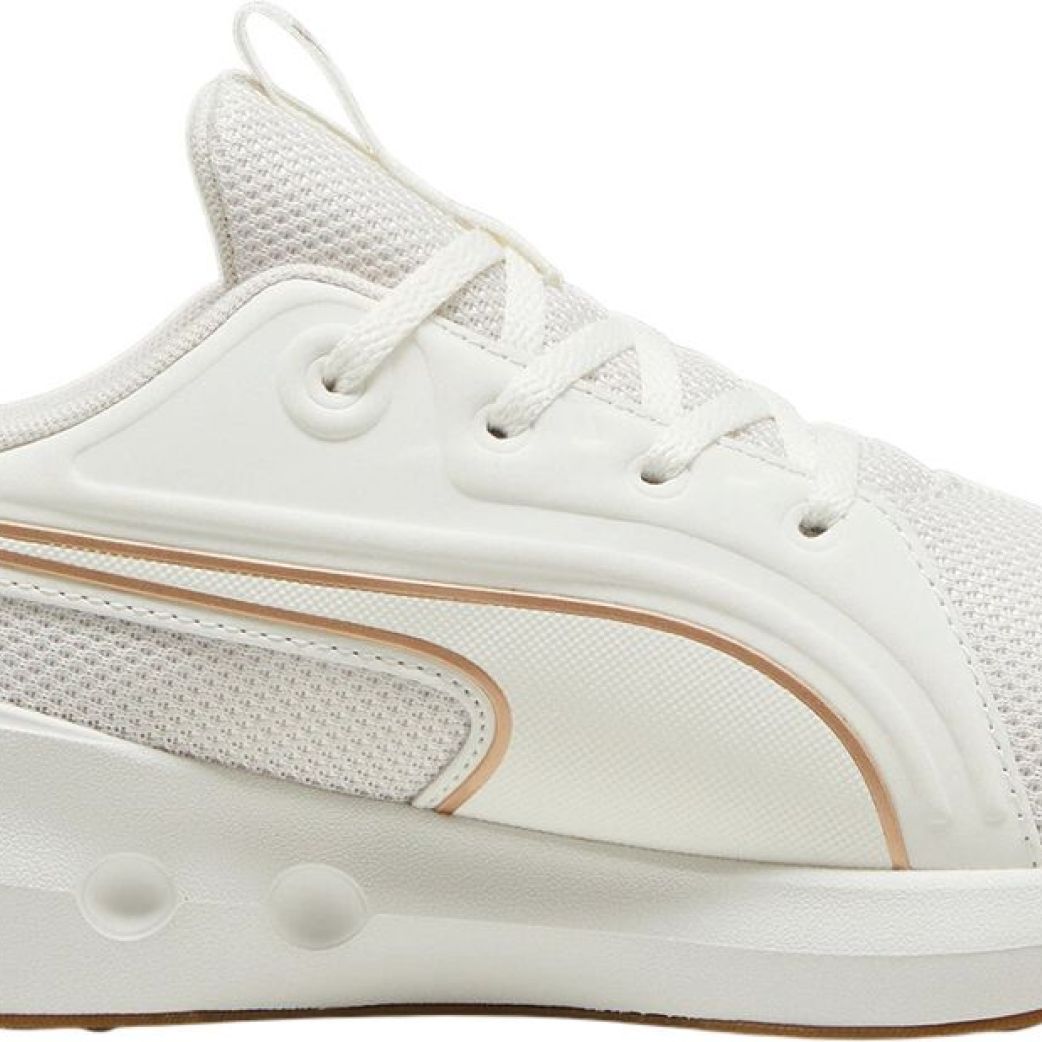 Кроссовки Puma Softride Carson 31015407