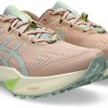 Кроссовки Asics FUJI LITE 6 1012B865-700