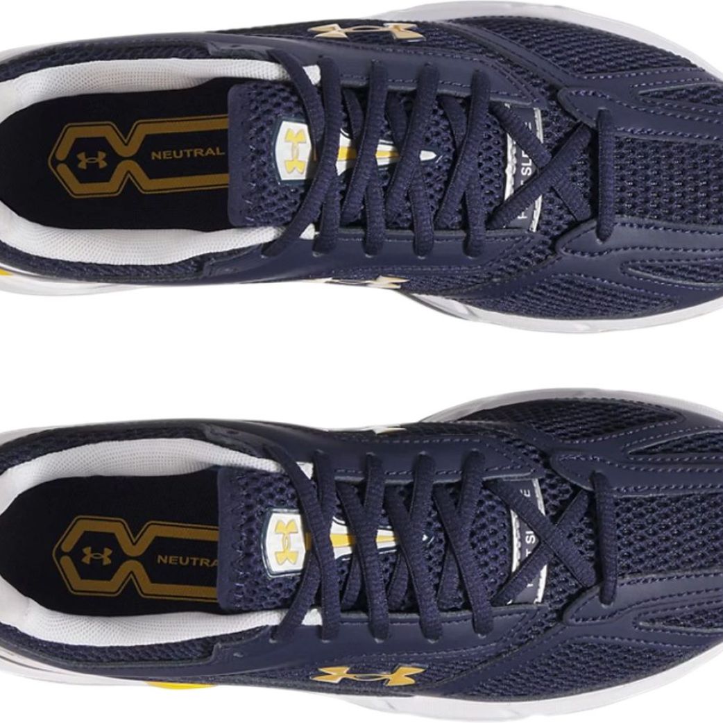 Кроссовки Under Armour UA HOVR Apparition RTRFTR TC 3027595-410