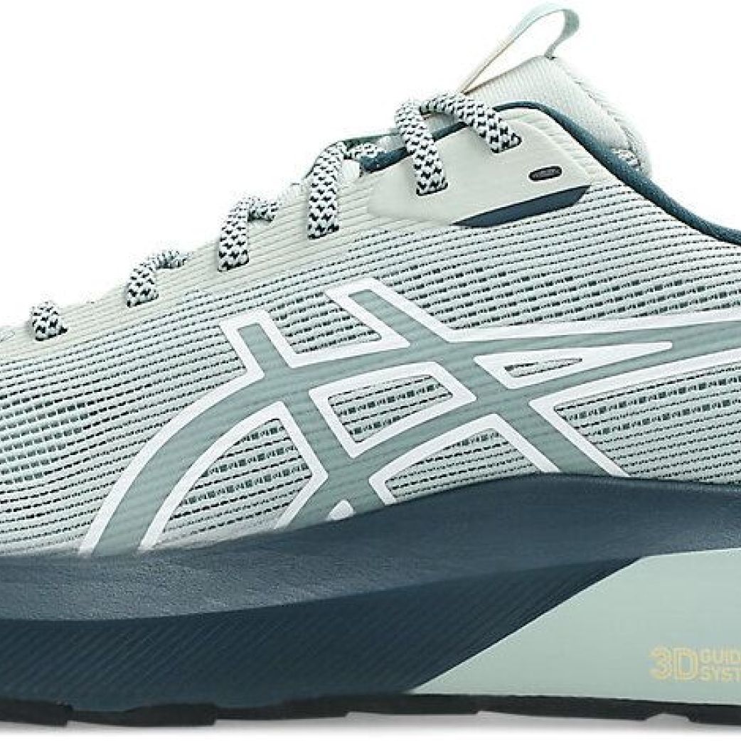 Кроссовки Asics GT-1000 14 TR 1011C131-300