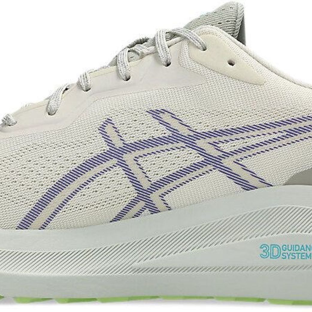 Кроссовки Asics GT-1000 13 TR 1011C043-300  12US