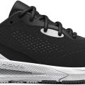 Кроссовки Under Armour UA W HOVR Sonic 5 3024906-001