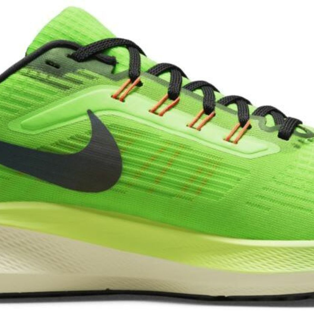 Кроссовки Nike AIR ZOOM PEGASUS 39 DZ4776-343