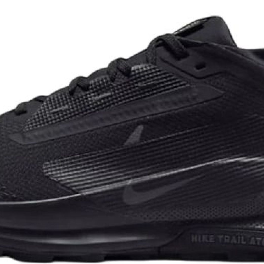 Кроссовки Nike REACTX PEGASUS TRAIL 5 GTX FQ0908-002
