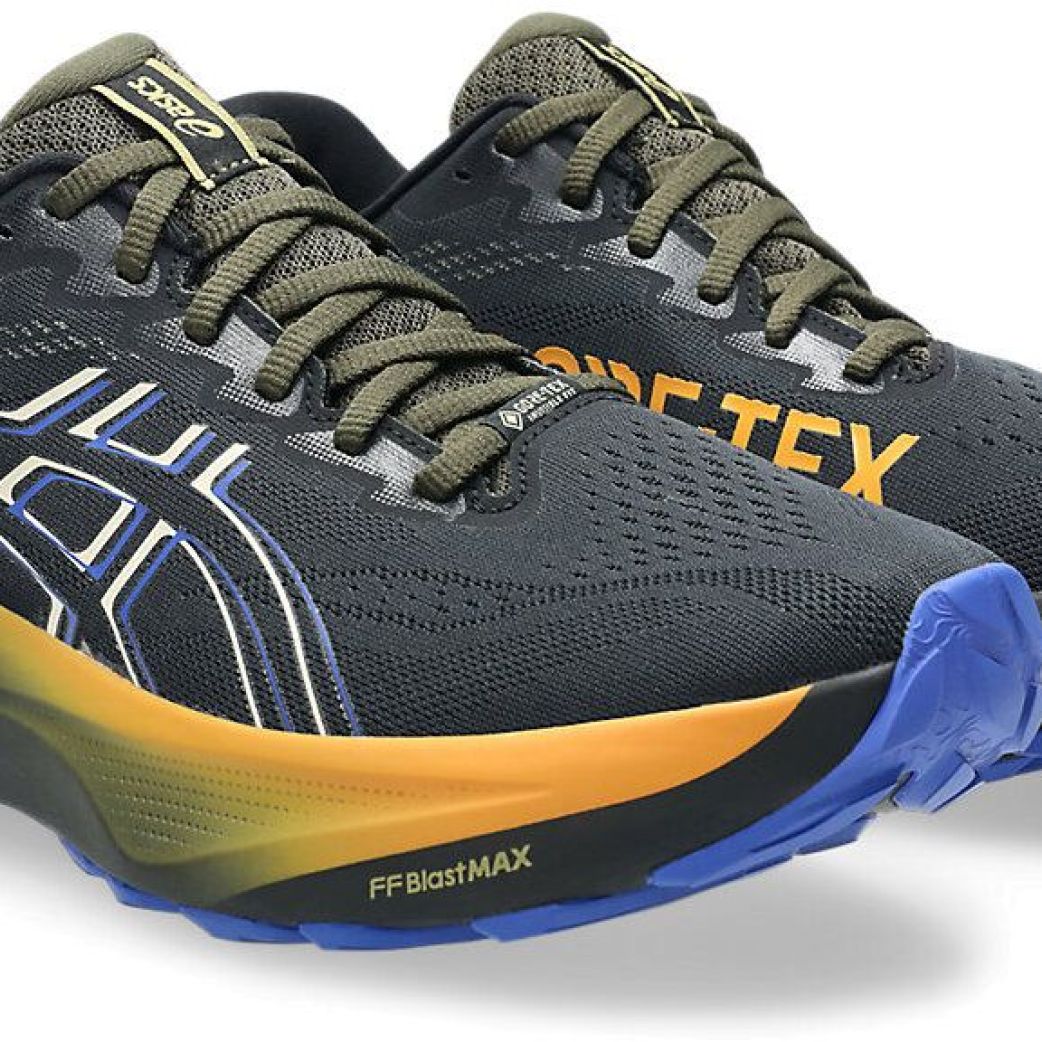 Кроссовки Asics GT-2000 14 GTX 1011C058-001