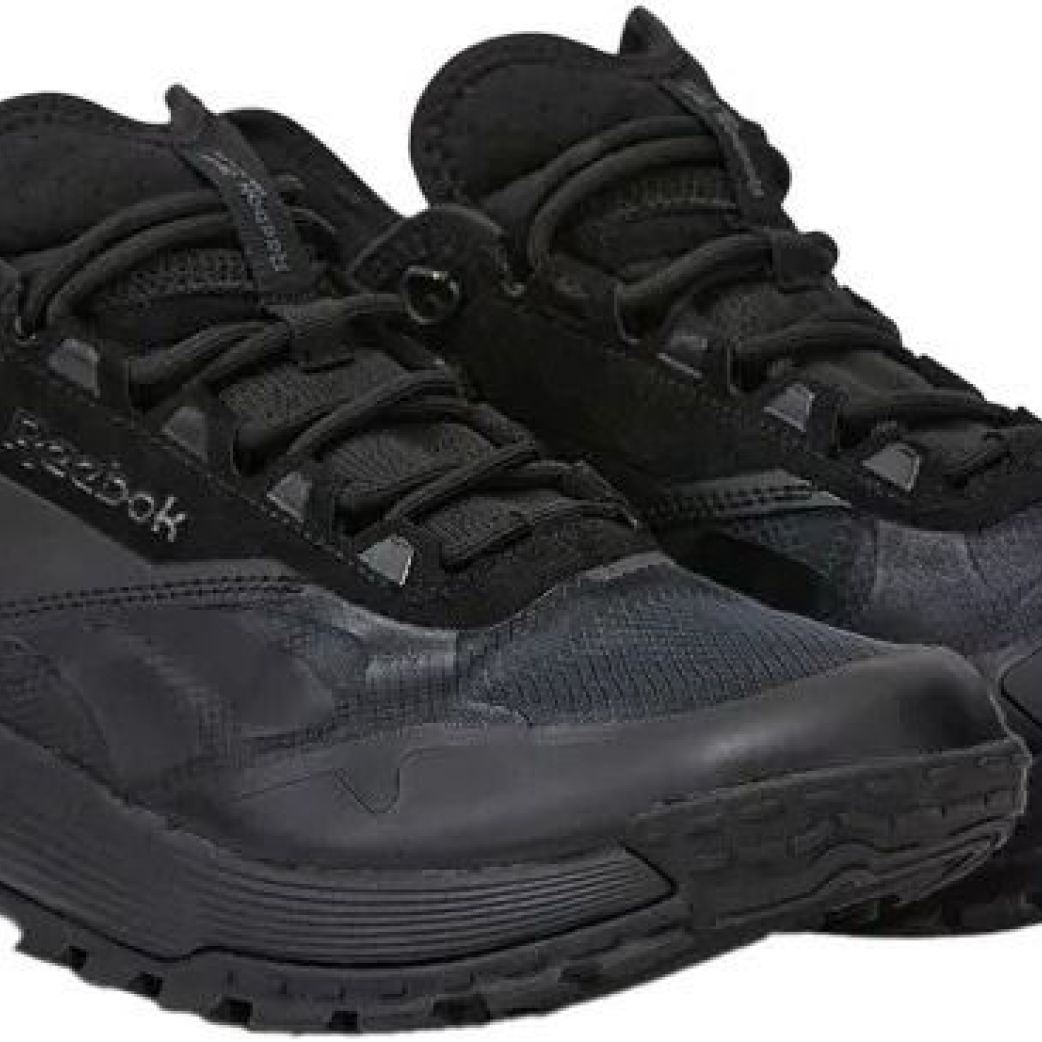 Кроссовки Reebok DMX TRAIL GTX 100074961