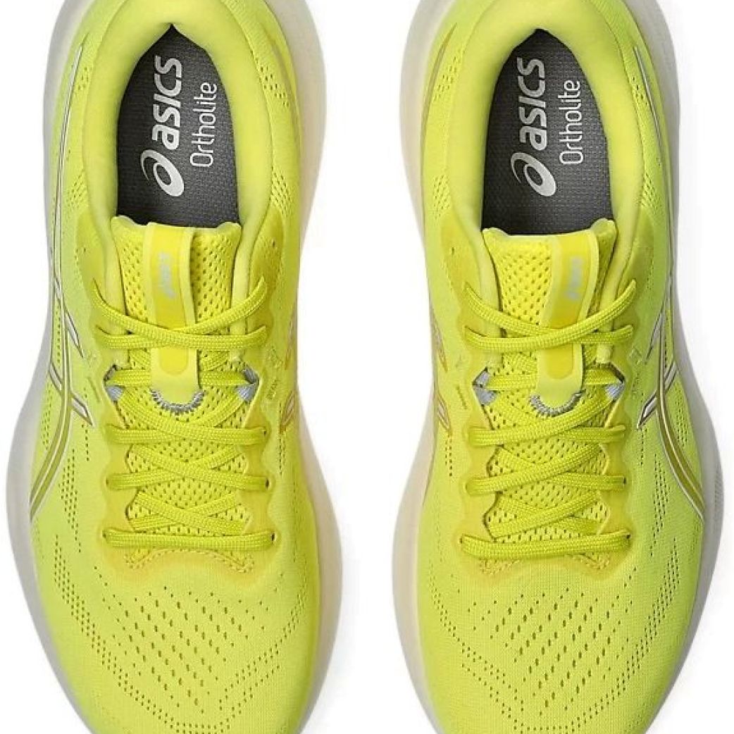 Кроссовки Asics GEL-PULSE 16 1011B962-750