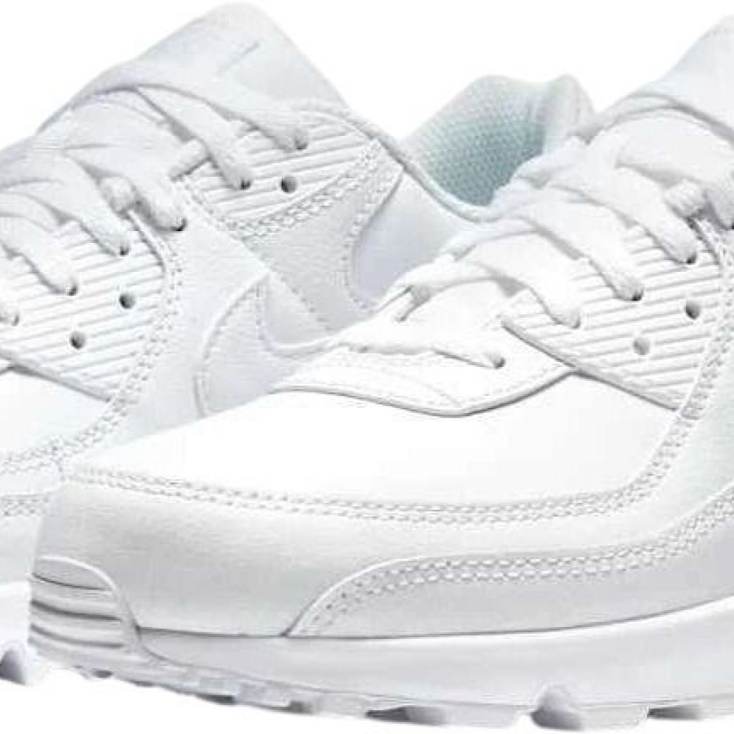 Кроссовки Nike AIR MAX 90 LTR CZ5594-100 7.5US