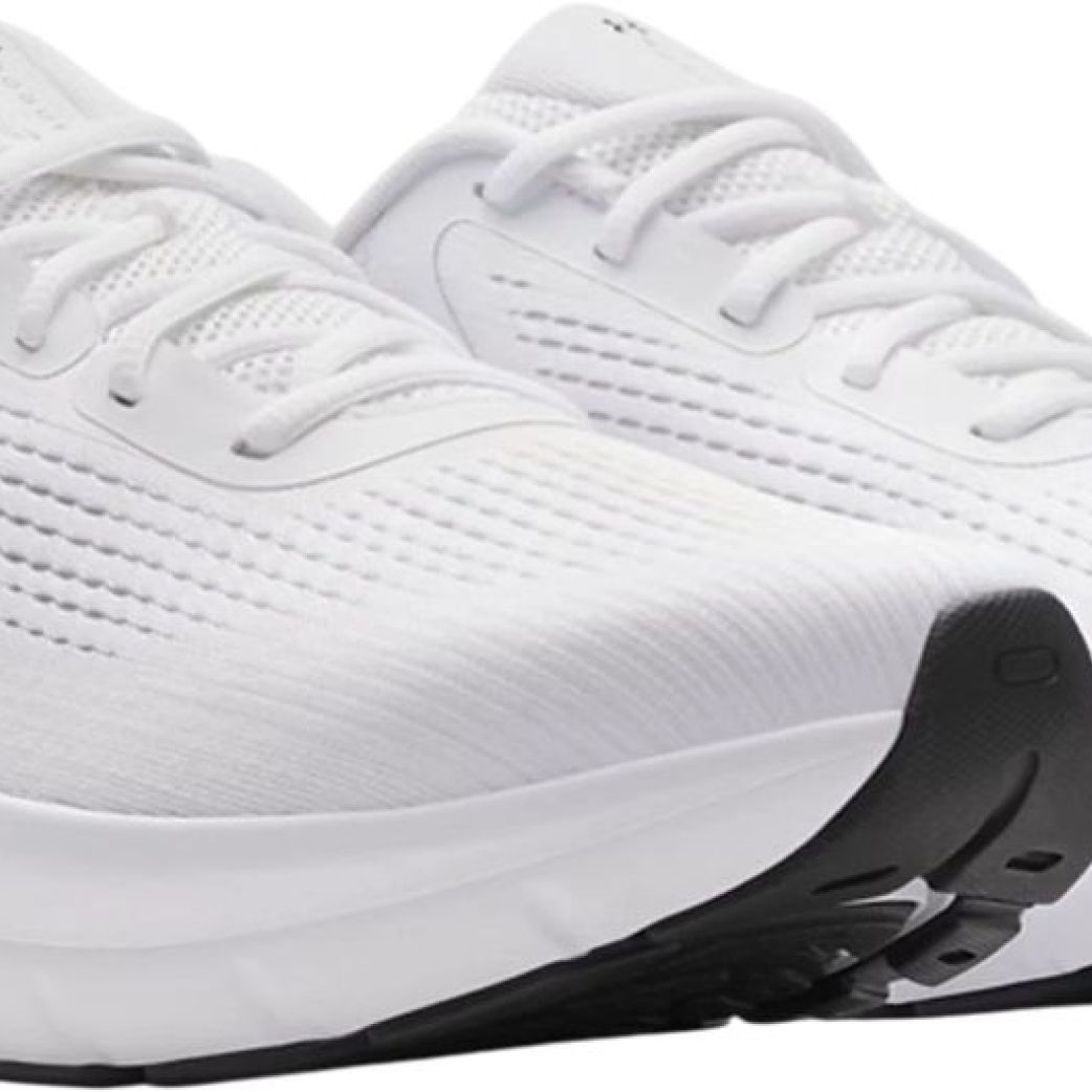 Кроссовки Under Armour UA Charged Rogue 5 3028256-100