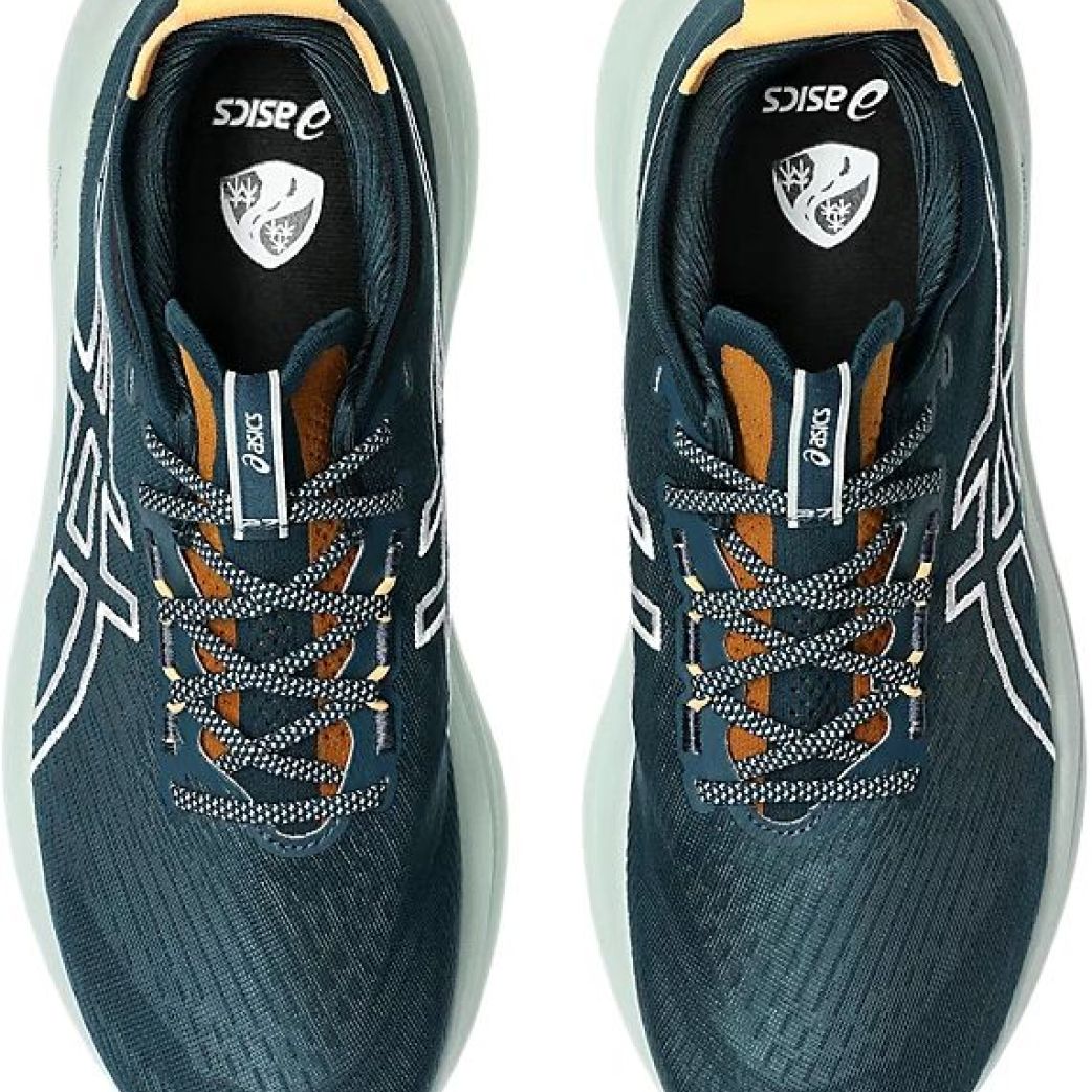 Кроссовки Asics GEL-NIMBUS 27 TR 1011C136-300