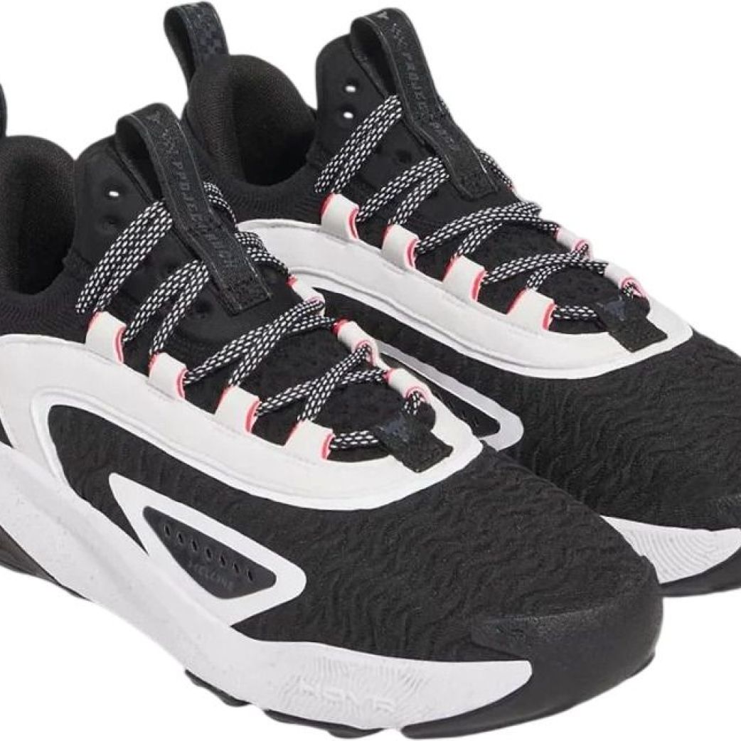 Кроссовки Under Armour UA Project Rock 7 3027600-004