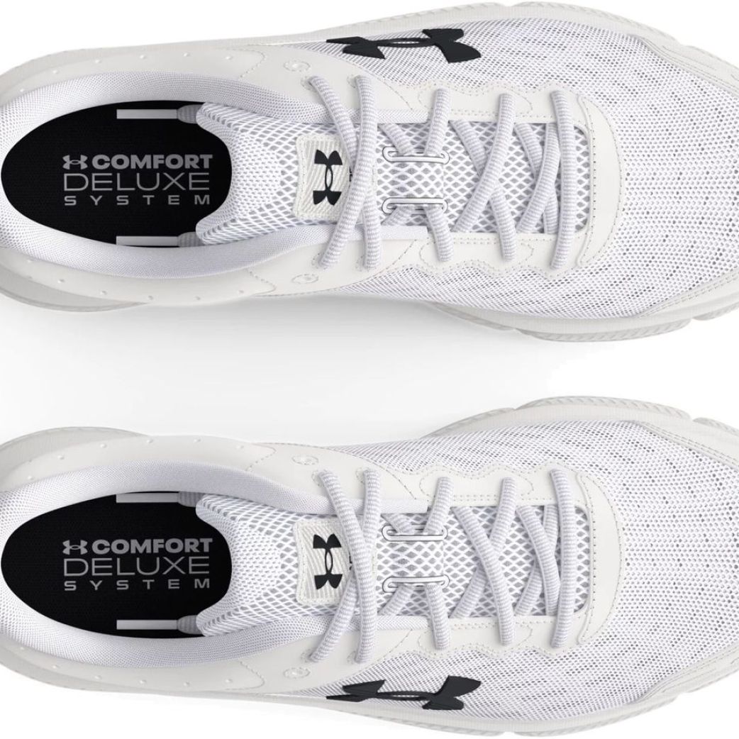 Кроссовки Under Armour UA Charged Assert 10 3026175-104