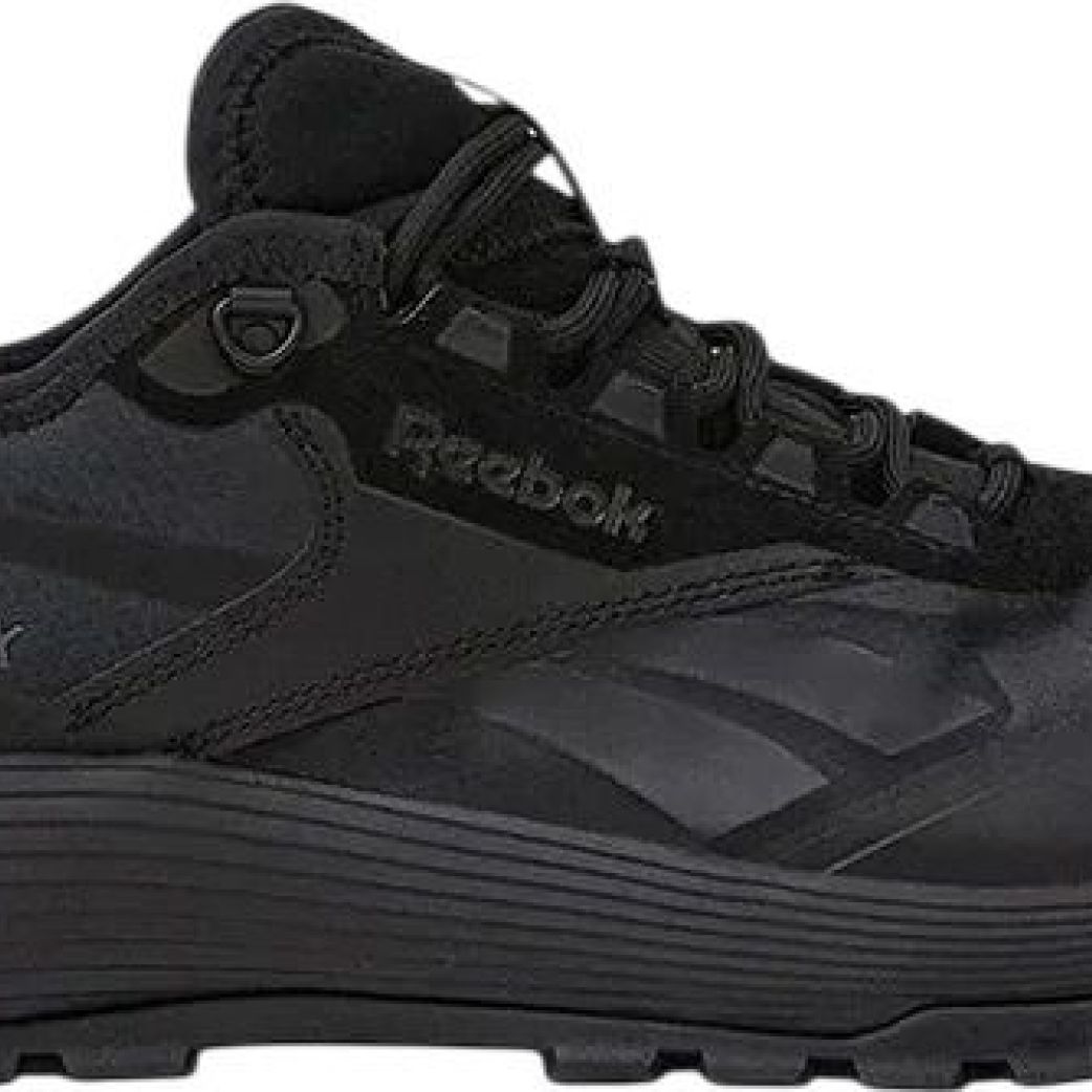Кроссовки Reebok DMX TRAIL GTX 100074961