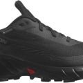 Ботинки Salomon ALPHACROSS 5 GTX W L47310900