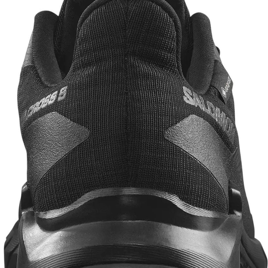 Ботинки Salomon ALPHACROSS 5 GTX W L47310900