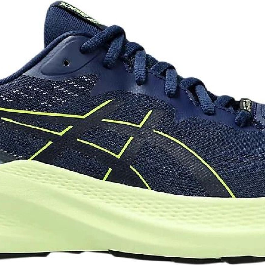 Кроссовки Asics GT-2000 12 GTX 1011B687-400