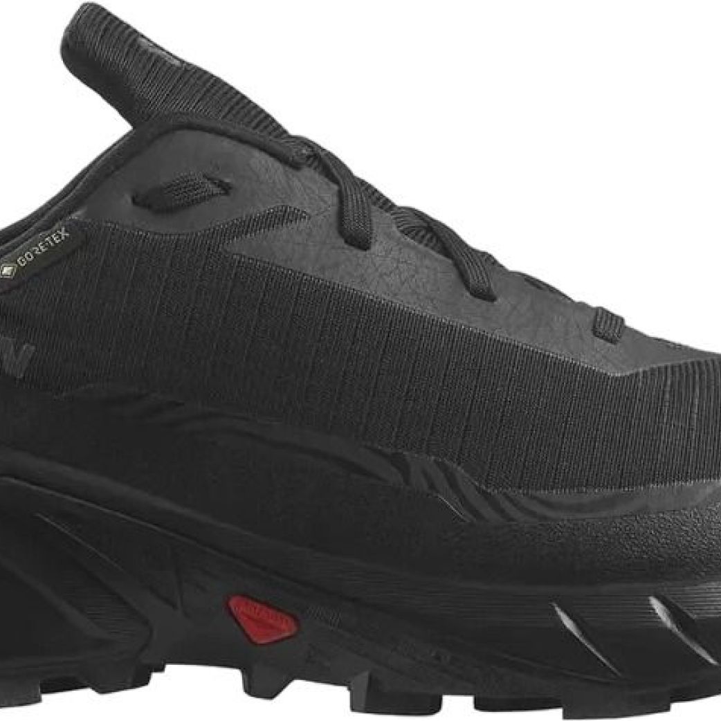 Кроссовки Salomon ALPHACROSS 5 GTX L47307500